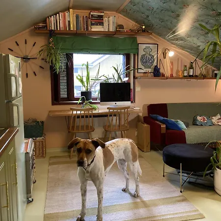 Apartamento Suloinen Hellahuone Puutalossa Turku